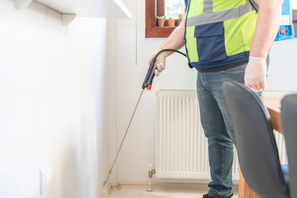 Wasp Removal Services in Purcell, OK
