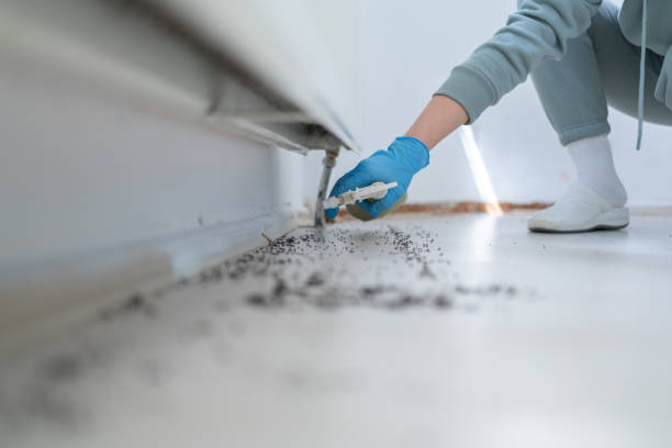Best Pest Removal Services  in Purcell, OK